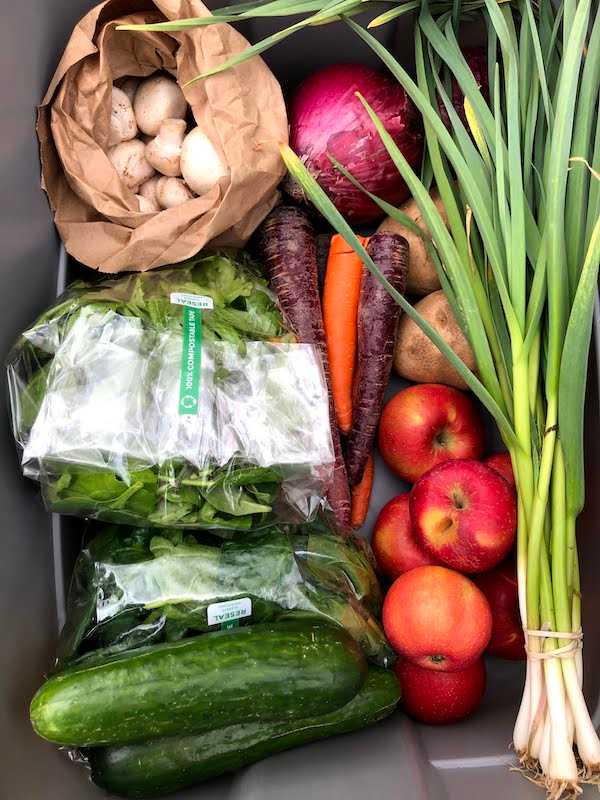 A goodpluck basket filled with beautifully fresh veggies
