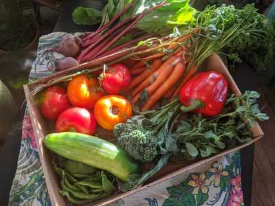 Delicious Produce